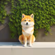 Shib on the corner