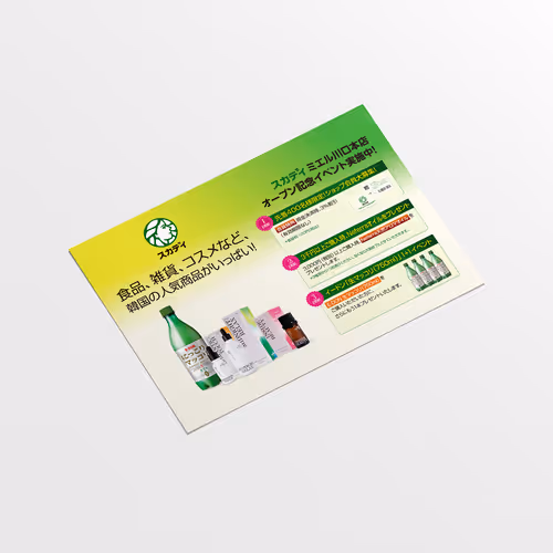 SKADI Japanese Promotional Leaflet Design - Mar. 2021