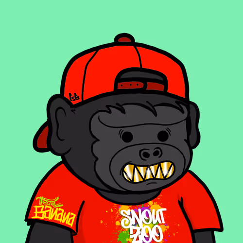 Snout Zoo 2025