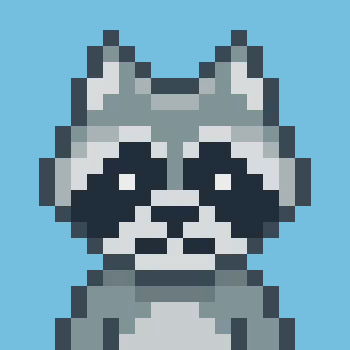 Project Dignity Raccoons