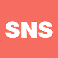 SNS(Polygon domain)