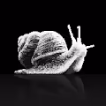 Psychedelic Crypto Snails