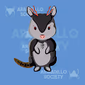 The Armadillo Society