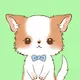 Polygon Pomchi Collection