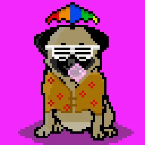 Ashy the Pug