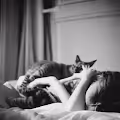 CatNap