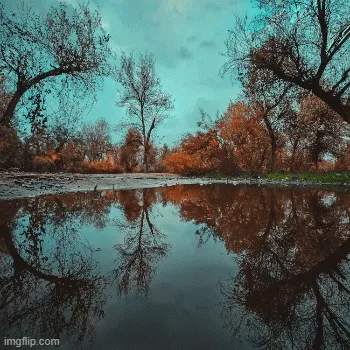 landscape.p