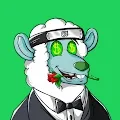 SHAKY SHEEPY