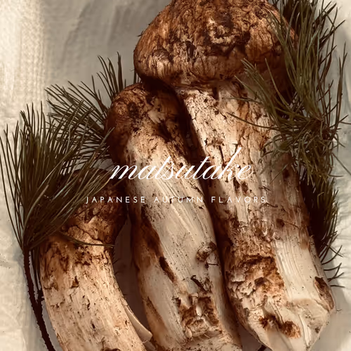 the so-called matsutake