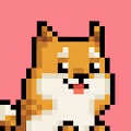 Shiba Pupz