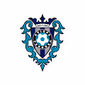 Avispa Fukuoka NFT