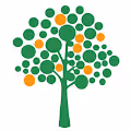 BITTREES COLLECTION