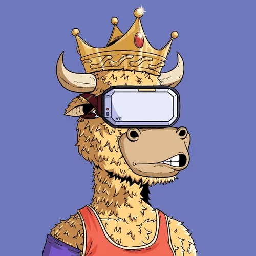 b00ls Polygon