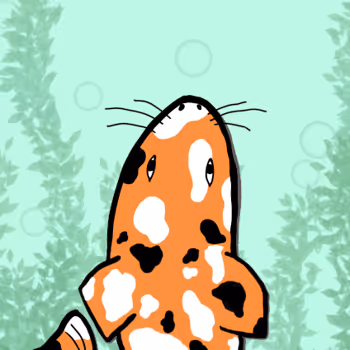 Koi by BaggedMilk x Reddit Collectible Avatars