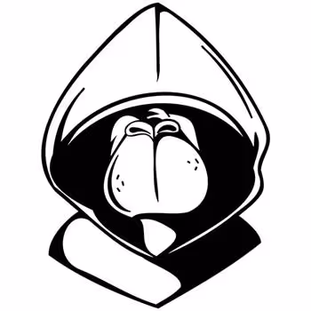 AIP Genesis Album Pass