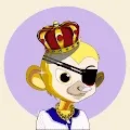 Lil Chimp Club