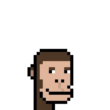 Polygon Ape Punks Club
