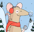 The Aww Rats Closet