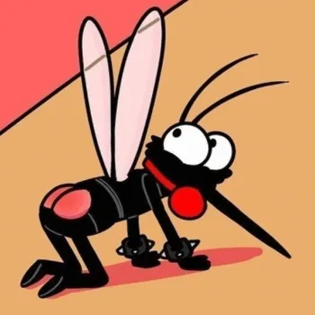 Mosquitos