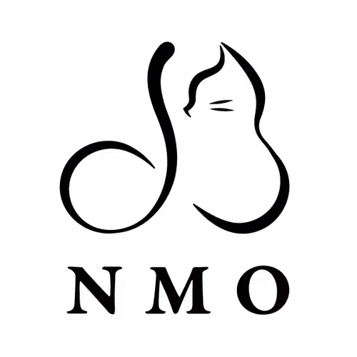 NMO Seminar SBT24