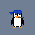 penguins Punks