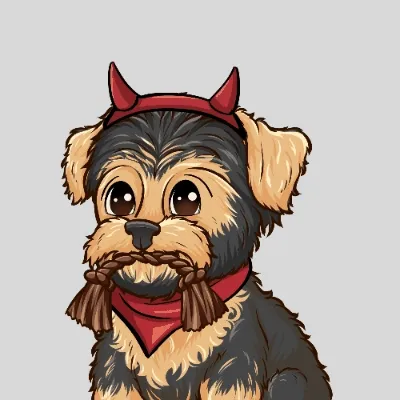 Morkies