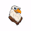 Collection Logo