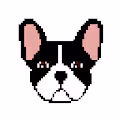 BTDoge