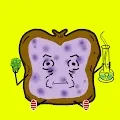 Baked and Toasted Special Editions