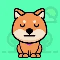 MyLittleShiba