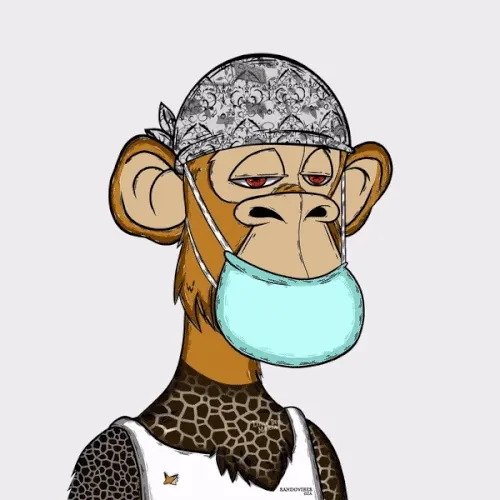 Gen Z Apes