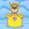 Houses Animal