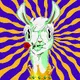Llama Mia