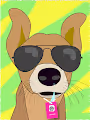 Caramelo Vida Loka - A thousand lives of a street dog.