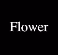 The Flower Project for Color
