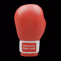 Fight Club Red Glove