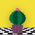 Metaverse Succulents