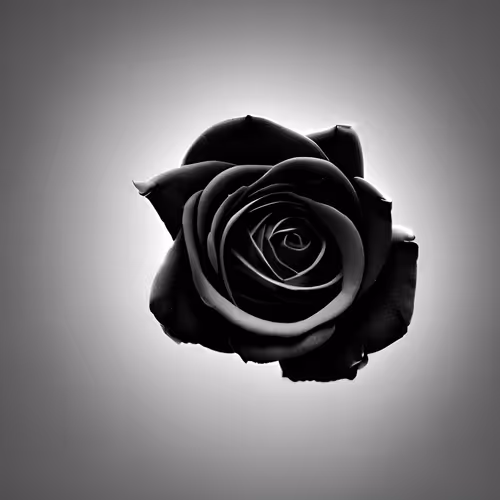 Blaq Rose NFT by RootCee