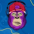 Hype Ape Collection