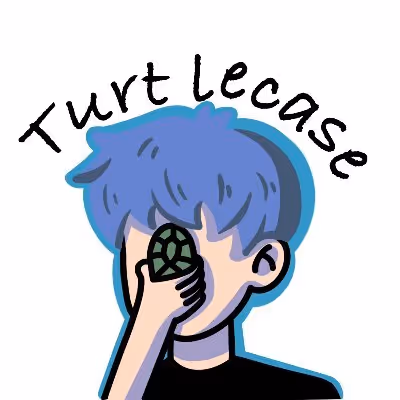 TurtleCase-ERC721G