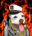 Pixel Pitty