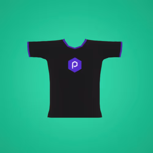 PolygonPunks - T-Shirt