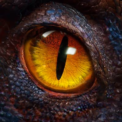 Age of Dino - Dinosty
