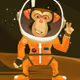 Space monkey