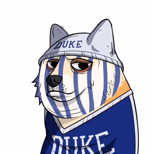 Duke Doges