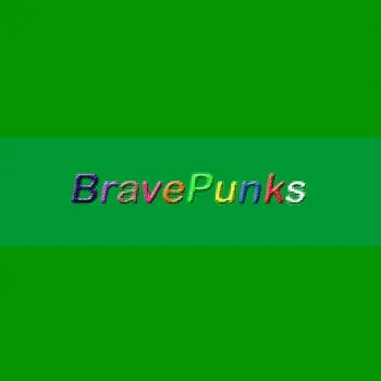 BravePunks