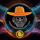 BTC Cowboy