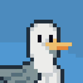 Project Dignity Seagulls