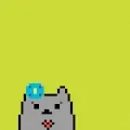 Cute&Cat