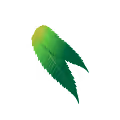 leaf million collection